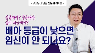 상급배아? 중급배아? 설마 하급배아? 배아등급이 낮으면 임신이 되지 않을까요?