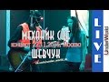 Механик СЦБ Шевчук - Концерт 22.11.2015, Москва 