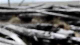 Mr Little Jeans - Good Mistake