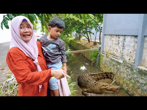 I was shocked to see a big crocodile in the river 😱 while buying snacks at a food stall