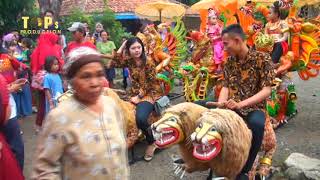 Download lagu Temoan singa dangdut putra indra muda pentas sanca bpk. ono mp3