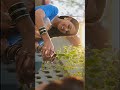Ved Tujha New Full Screen Status Ved Riteish And Genelia Shorts Youtubeshorts Ved Explore