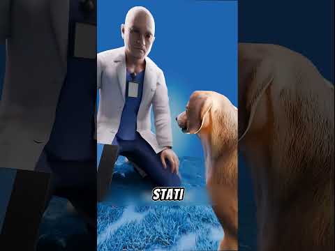 LA RAZZA DI CANE CHE VENIVA USATA TANTISSIMO PER LAVORARE