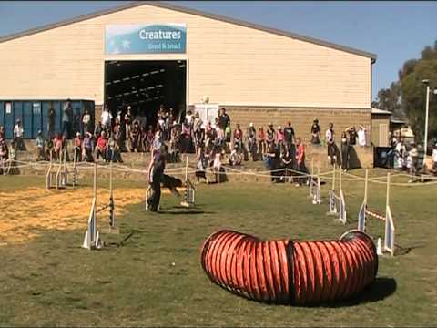 Perth Royal Show 2010 Teams Jumping: Nadine and Charli