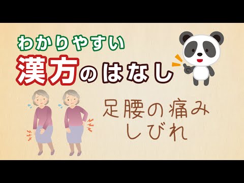 薬学科 足腰の痛み・しびれ(腰痛・関節痛など)には独活寄生湯(どっかつきせいとう)