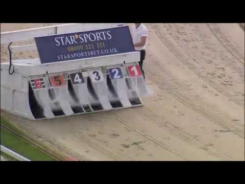 Impressive Guy - Derby Plate Heat 2