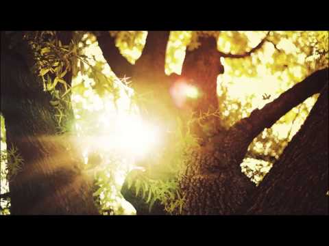 Auvic - Voices (Blend Remix)