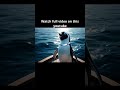 The Great Penguin Voyage Ai Veo3 Short Underwater Movie Cute