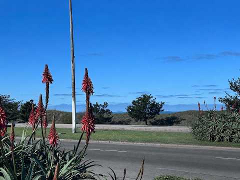 Video de YouTube - Casa en Alquiler de 2 dormitorios con Jardín, Patio y Garage en Carrasco, Montevideo