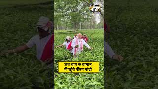 जब चाय के बागान में पहुंचे पीएम मोदी