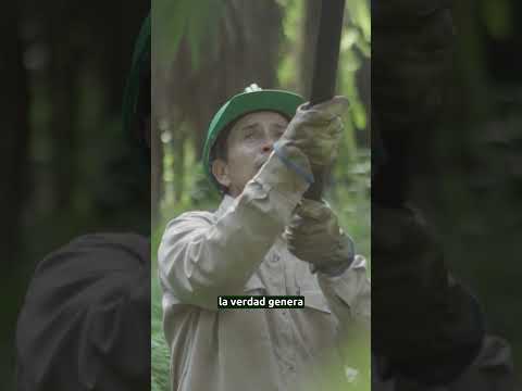 #RostrosDeLaPalma | Erikson Rojas Lasso, palmicultor de San Martín (Cesar)