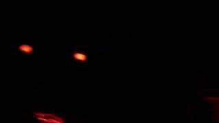 THROUGH THE EYES OF THE DEAD - Beneath Dying Skies