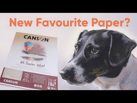 Canson Mi-Teintes Velvet Pastel Paper Review