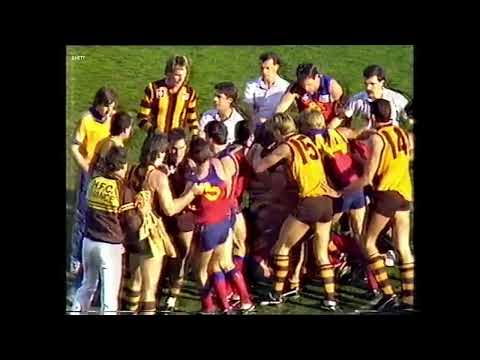 1986 Preliminary Final brawl