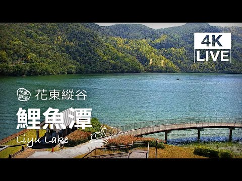 鯉魚潭即時影像