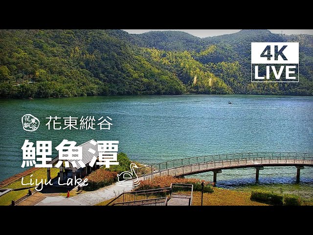 鯉魚潭風景遊憩区