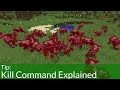 Kill Command Explained