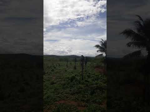 quinta-feira de chuva em Canindé do São Francisco Sergipe