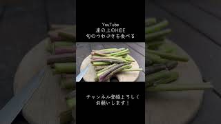 【崖の上の日常VLOG⛰️】旬のつわぶきを食べる。#0円ごはん #田舎暮らし　#山奥暮らし　#スローライフ　#アウトドア　#田舎時間　#一人暮らし　#海の見える家　#崖の上のHIDE