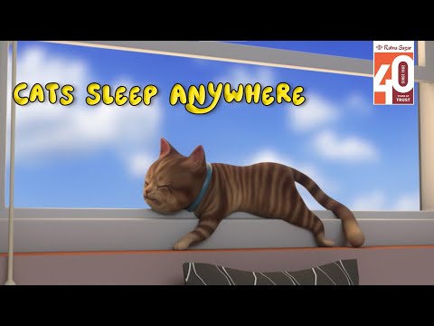 Cats Sleep Anywhere | Short Poems for Kids | 3D Animation by Ratna Sagar