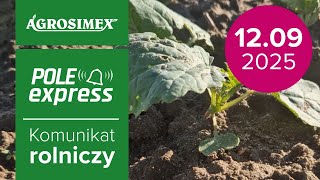 Chcesz wiedzieć, jak zapewnić rzepakowi zdrowy start i maksymalne plony?
