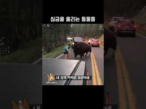 아이콘