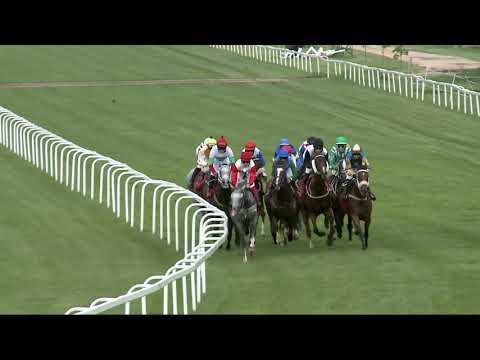 2021.08.01. 08. futam - KISBÉR DÍJ (HUN Gd-2) (NGL-VI.)