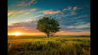 Msica Relaxante | Serenidade e clareza mental