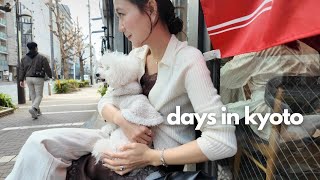 【京都】雪の降る日にお抹茶碗の絵付け体験🌨️🍵🎨 カフェ/朝活/愛犬と過ごす休日