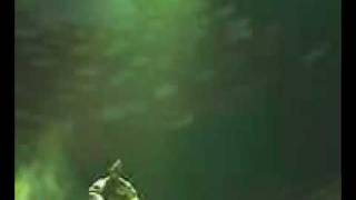 Re: Coil - Live in Berlin - 02 - Amethyst Deceivers