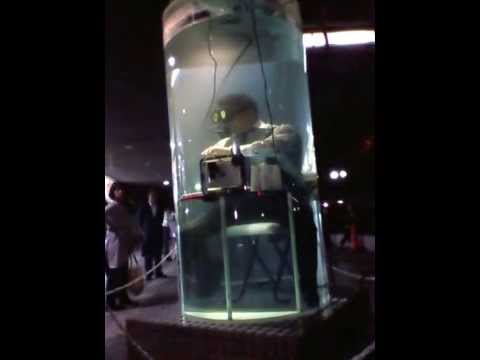 OBP 水中イベント(3)