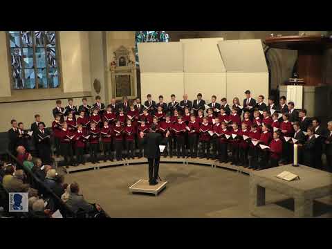 "Missa super Qual donna attende" Orlando di Lasso | Freiburger Domsingknaben (Boris Böhmann)