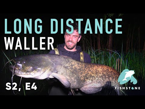 S2E4 - Gespannt - FISHSTONE's Angelwelten