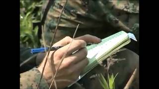 In My Blood - Black Stone Cherry