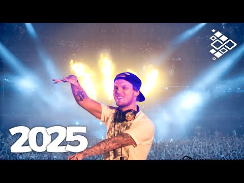 Avicii, David Guetta, Calvin Harris, Rihanna, Ava Max, Tiësto,.. | Remixes Of Popular Songs