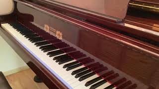 白鳥　サン=サーンス　ピアノ演奏　小野寺麻紀