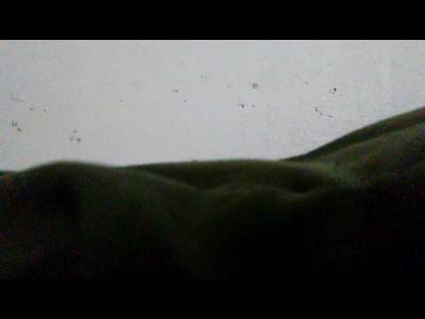 Only 4 weeks until spring break