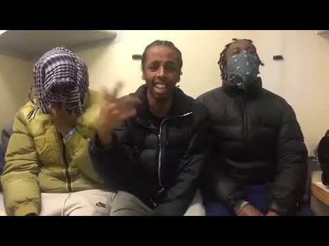 Tyni Lito (MaliStrip) - Habsi Jail Freestyle #malistrip