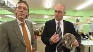 Made in Germany | Steiff - A Toy Maker Back to Europe