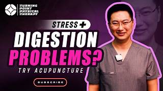 Acupuncture for Anxiety & Digestion | The Gut-Brain Connection Explained