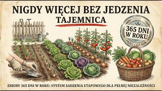 Zbiory 365 dni w roku: system sadzenia etapowego dla pełnej niezależności