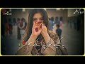 Hum Sa Pagal Na Hoga Dil Galti Kr Baitha Hai Female Version New Lyrics