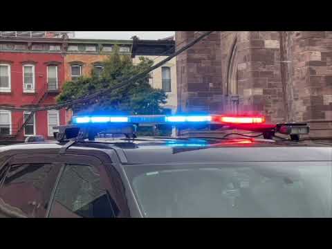 Summer Party House Noise