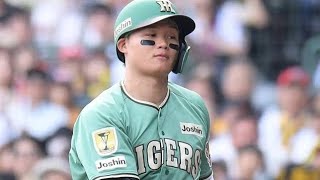 甲子園が凍りついた瞬間…森下翔太“初退場”の真相⚾🔥#森下翔太 #阪神タイガース #プロ野球 #甲子園 #退場処分 #NPB #野球ニュース #審判問題 #スポーツニュース #野球ハイライト
