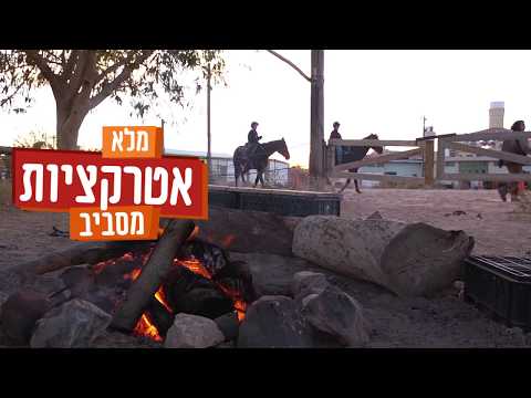 תמונה של בצל התמרים