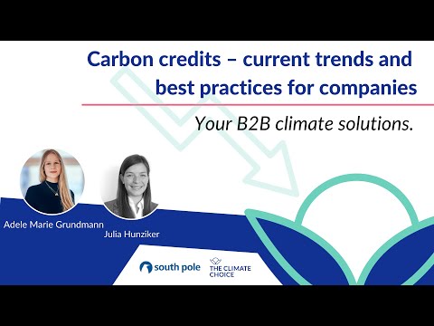 Carbon credits – current trends and best practices for companies