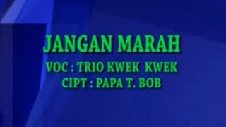 Download lagu TRIO KWEK KWEK - JANGAN MARAH Lirik Karaoke mp3