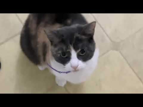 YouTube 썸네일