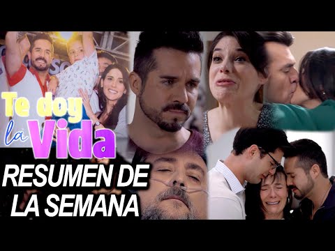Grandes momentos de "Te doy la vida": Gina le dijo la verdad a Pedro y perdió a su papá