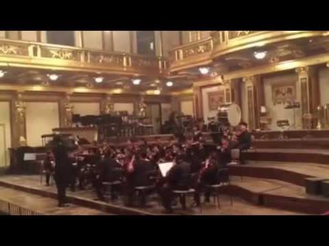 Kids'philharmonic performing in Golden Hall - Vienna